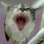 AndeNorrs avatar